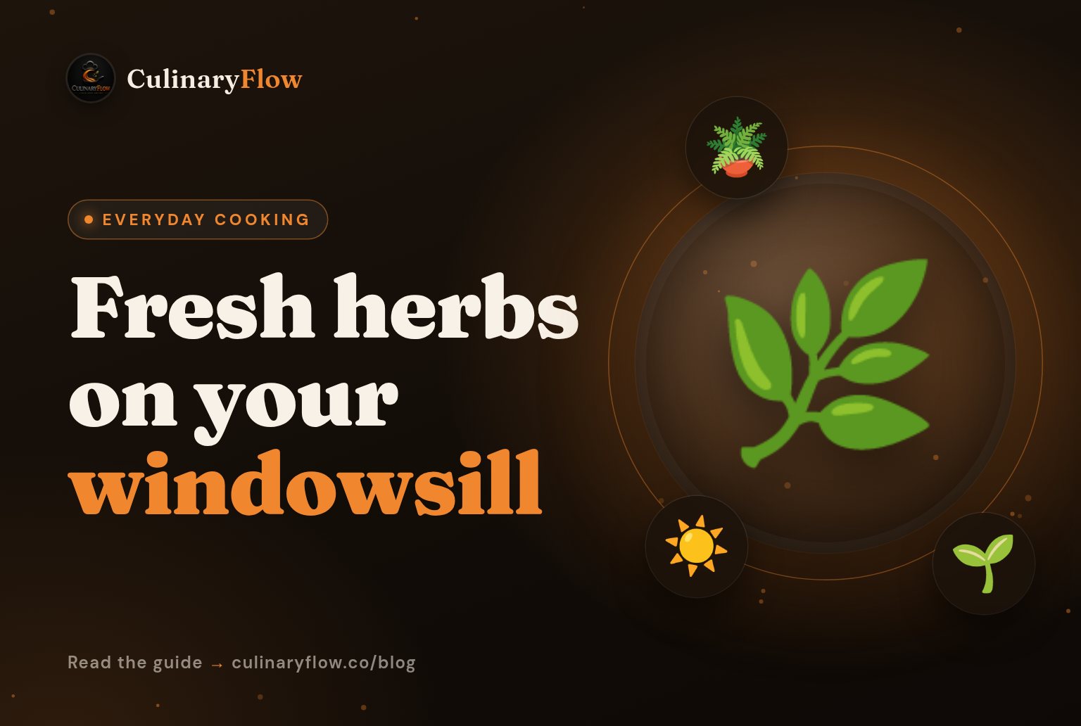 How to Grow and Use Fresh Herbs on a Windowsill